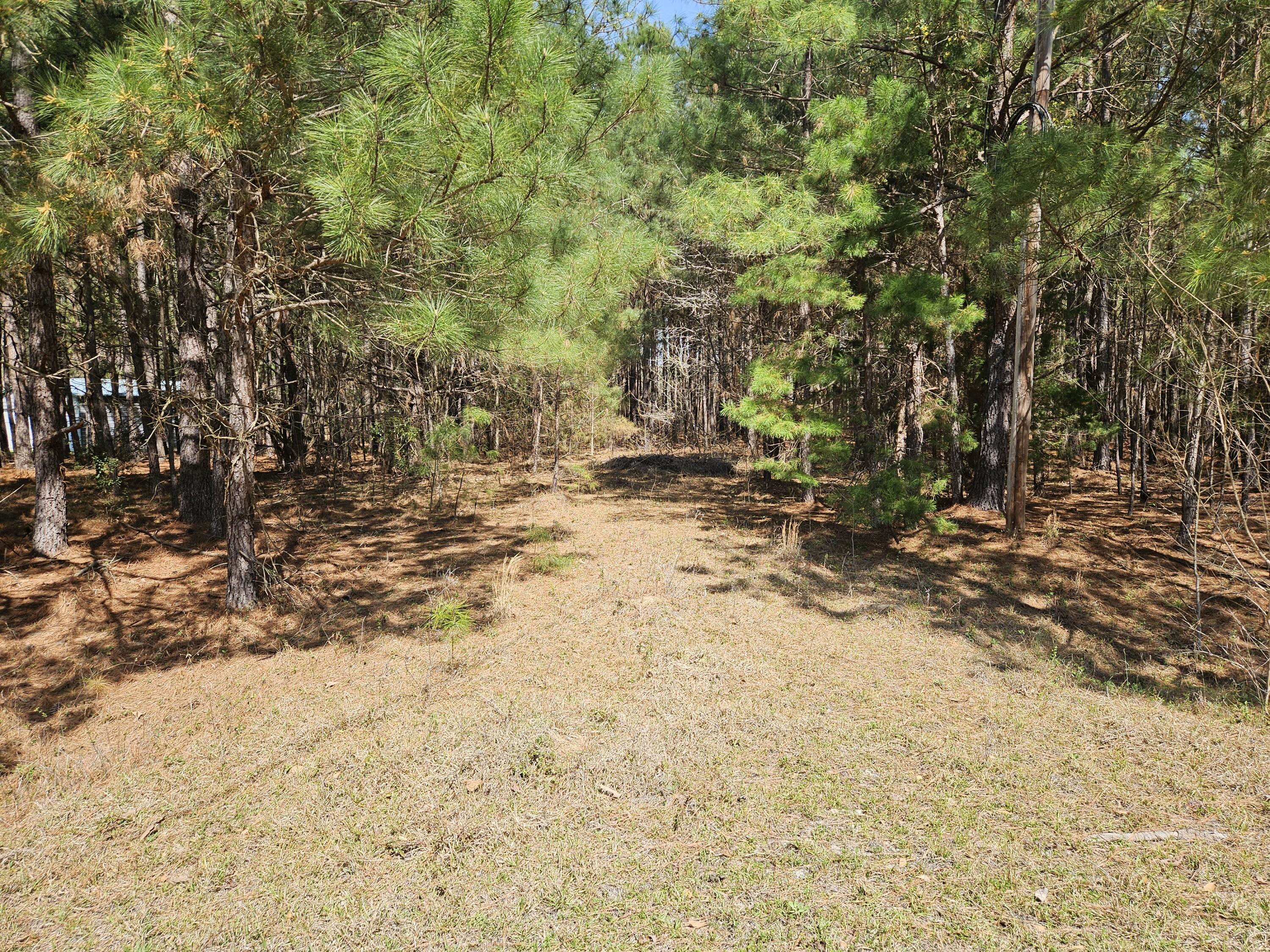 Image 1: brandywine