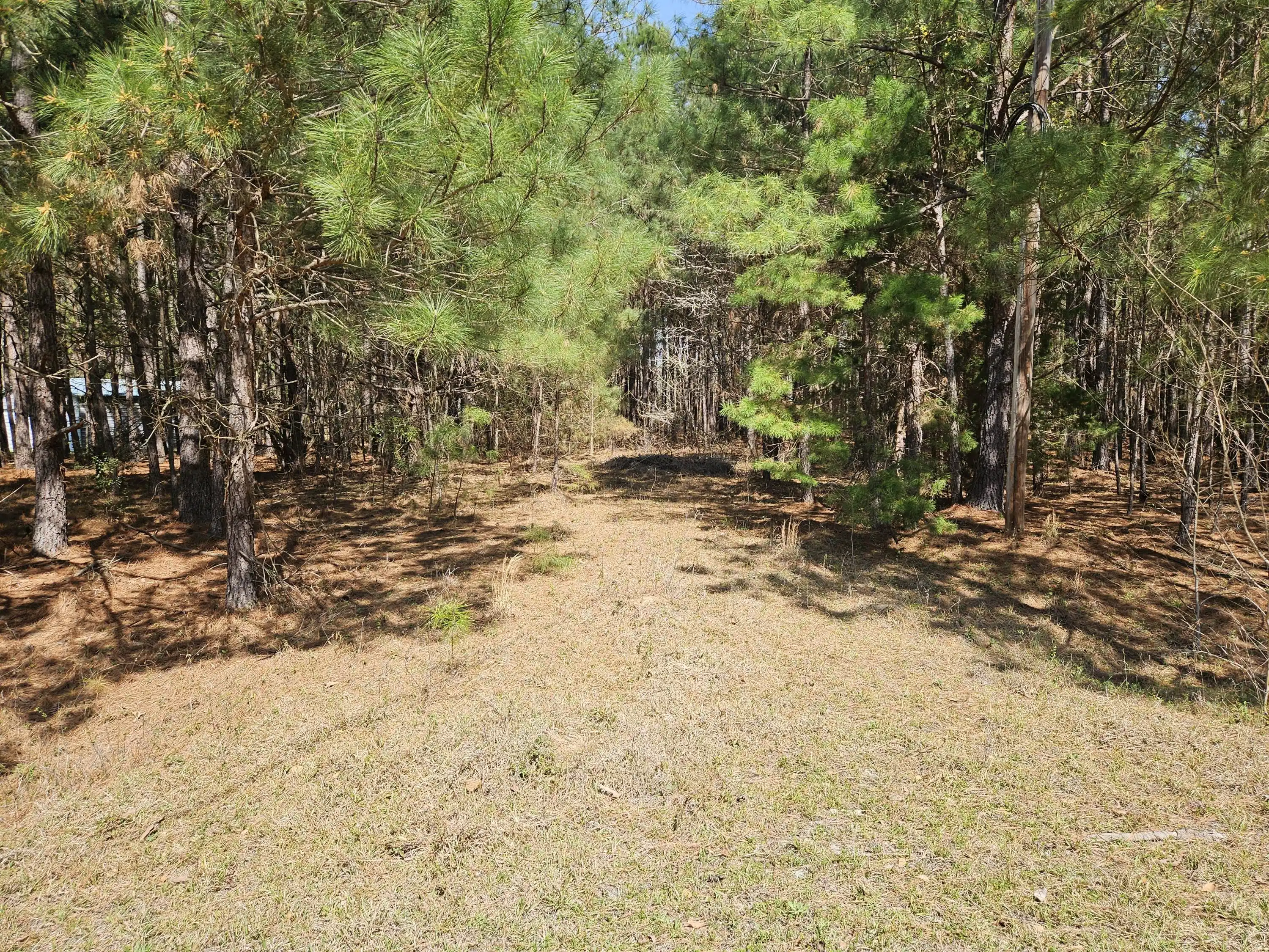 Image 1: brandywine