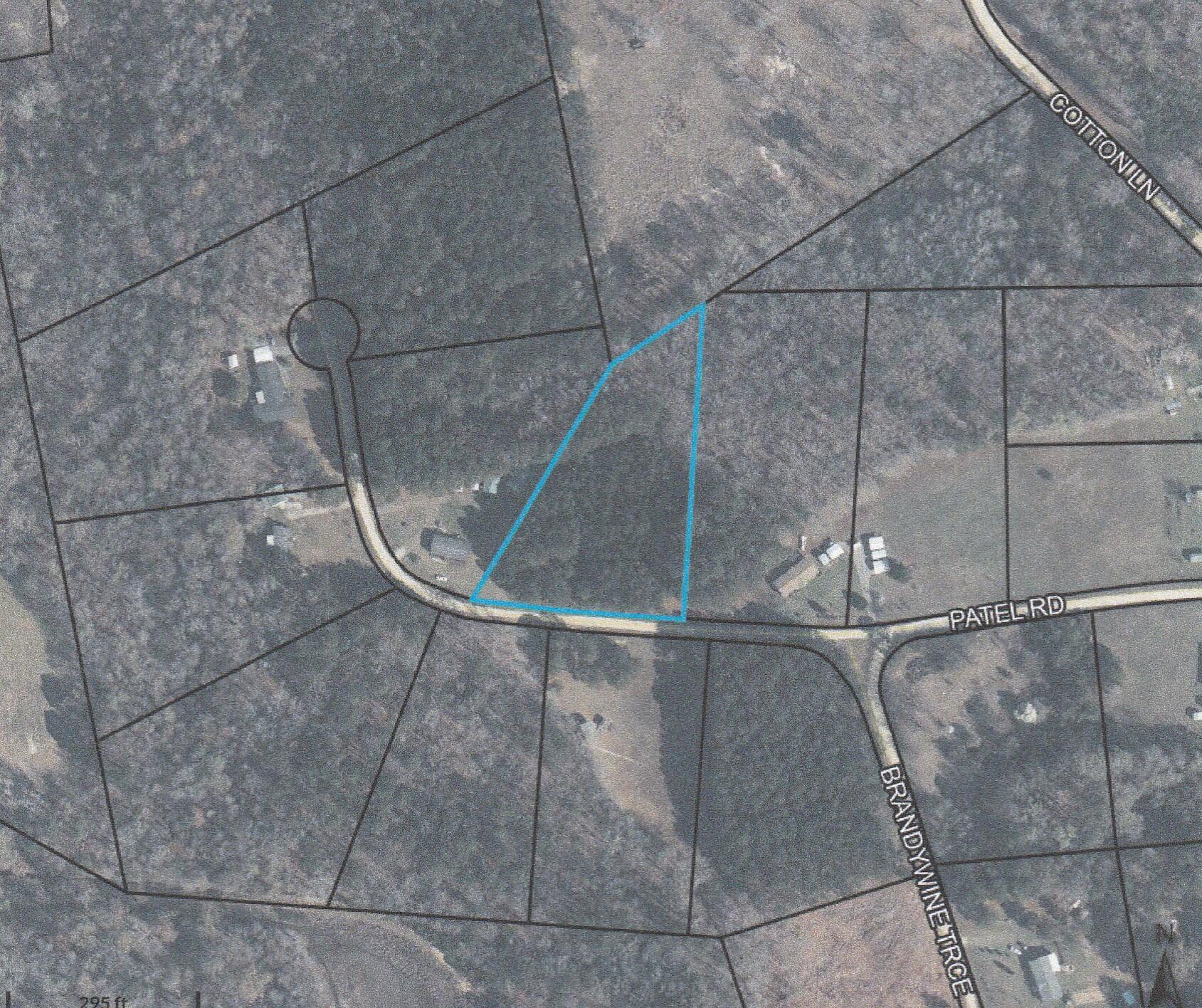 Image 2: bw lot