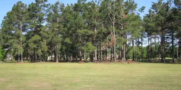 405 PINE LAKE COURT(L-22)