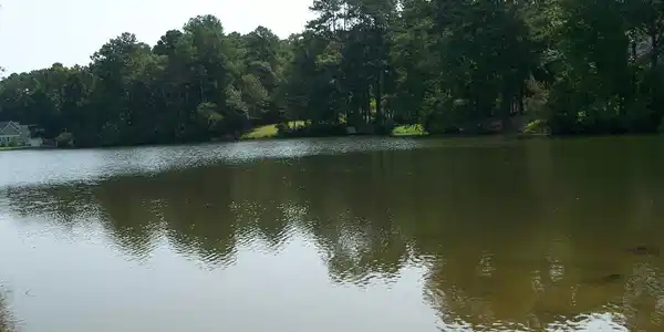 570 Plantation Drive