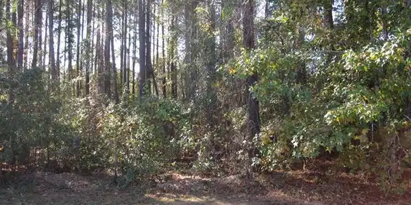 Lot 19 A Lakeview Drive