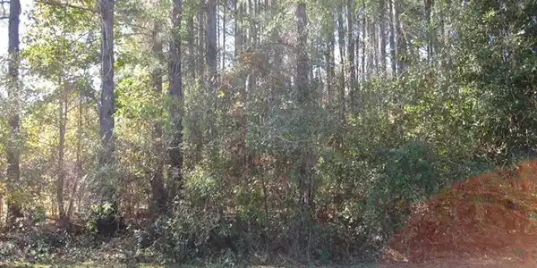 Lot 20 A Lakeview Drive