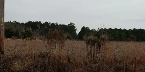 LOT#6 CANEBRAKE DR