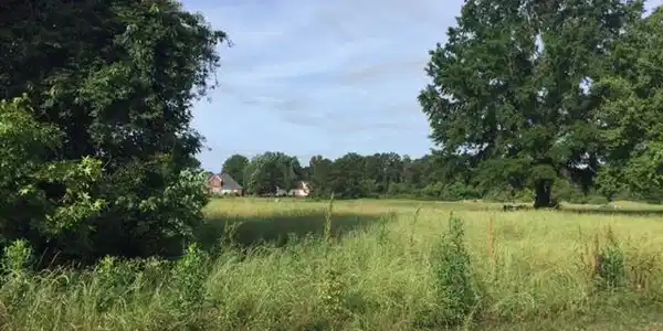 Lot 29 Waters Edge