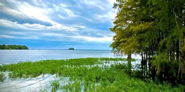 1885 Goat Island Rd