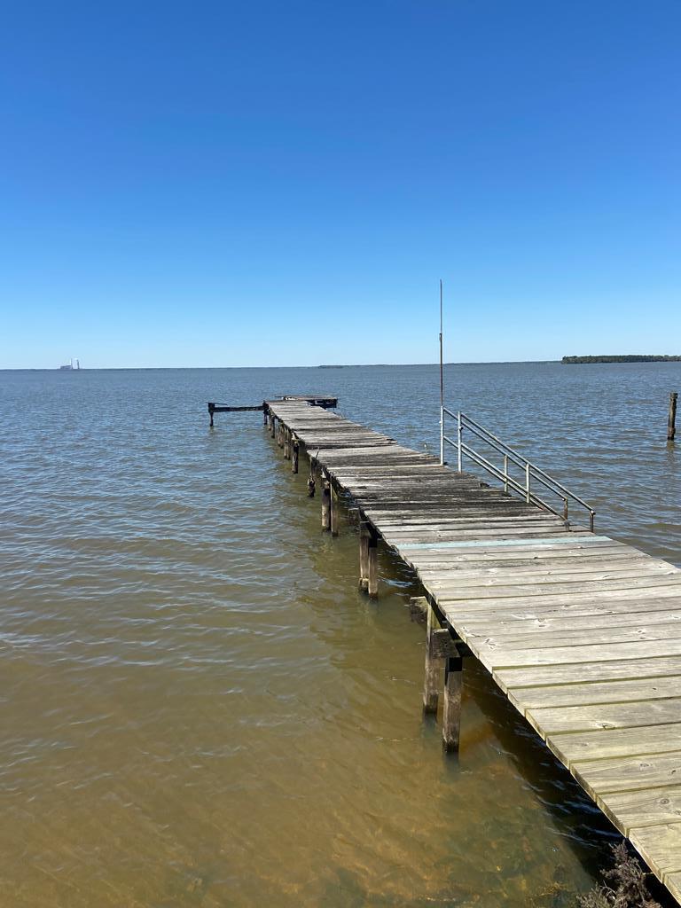 333 Lake Moultrie Dr, Bonneau, SC lhrmls00923539