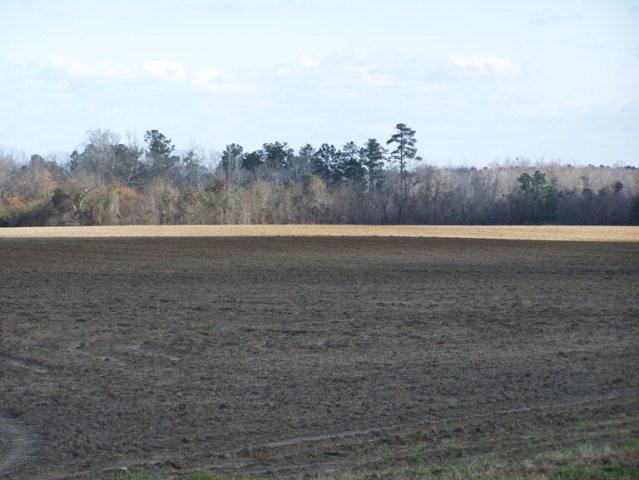 Image 2: Additional 1