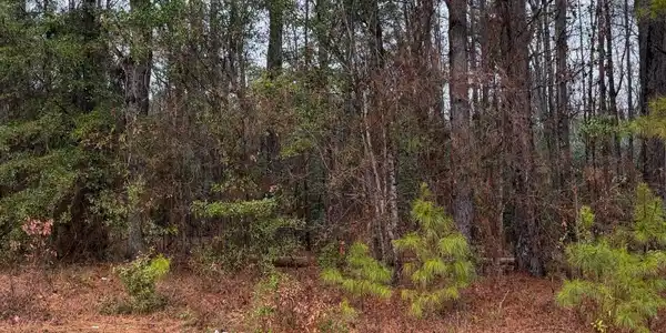 0 Neds Cove