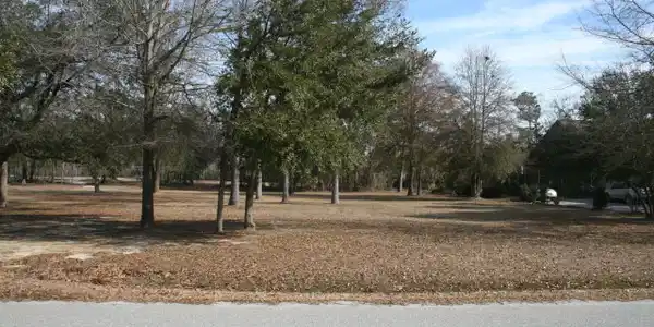 11 Fairway