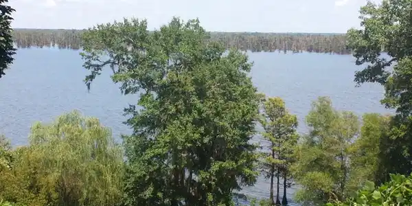Lot 4 Rosewood Lane