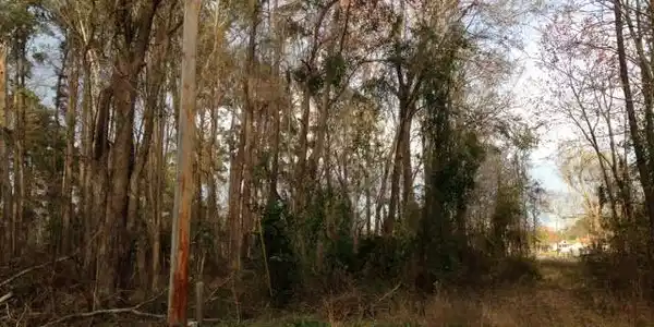 Lot 165 Brantley Avenue
