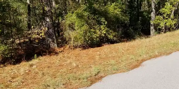 1.1 ACRE LOT 3C GRIFFITH LANE