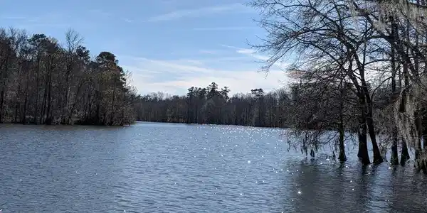 0 Whispering Pines