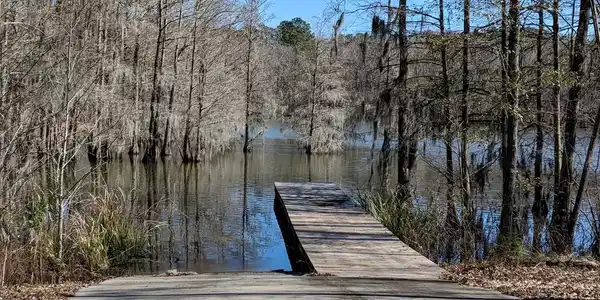 0 Red Cypress Landing