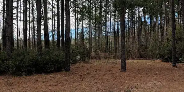 000 White Oak Drive