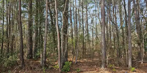 lot 1210 Beaver Drive