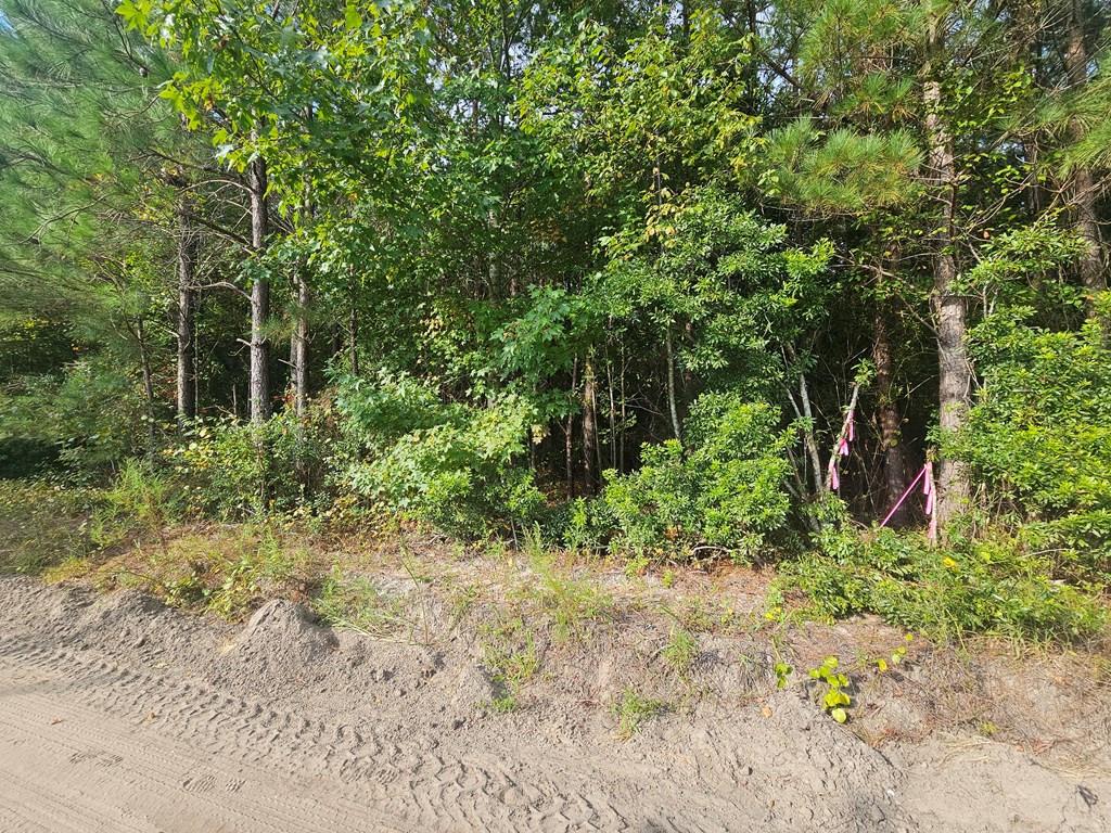 Image 4: Photo 4