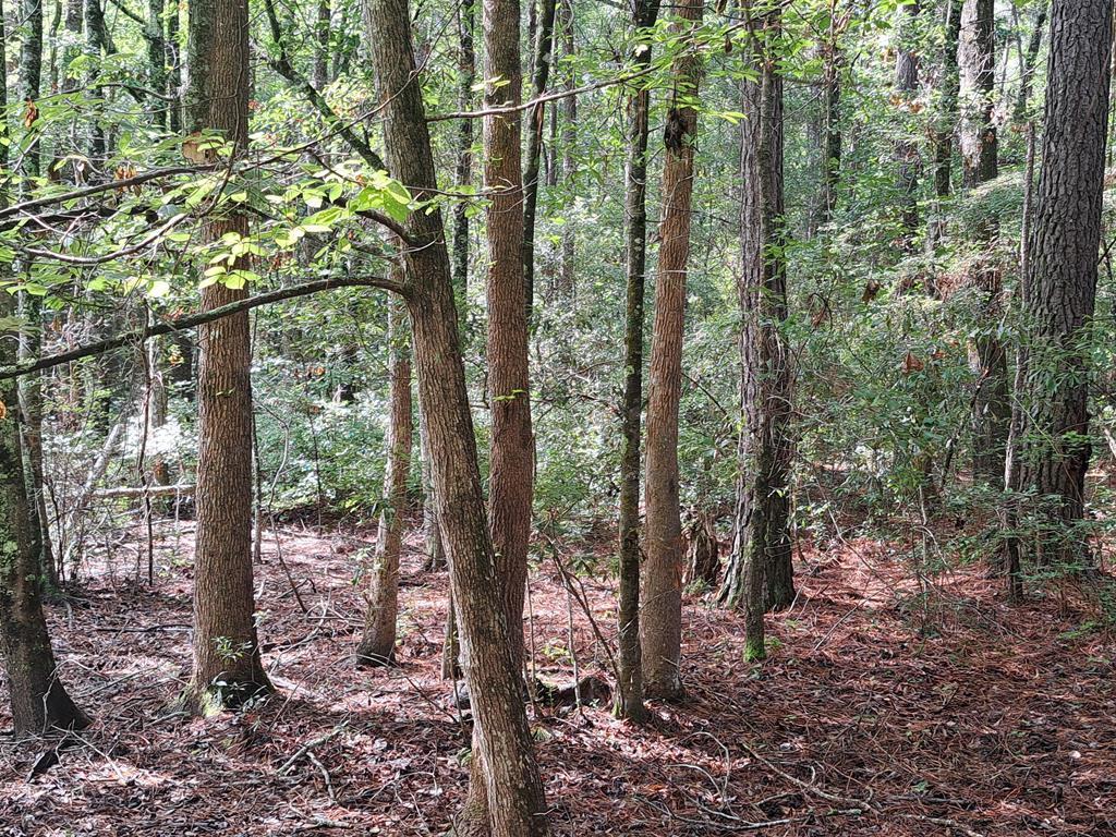 Image 3: Photo 3