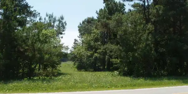 tbd Stumphole Road