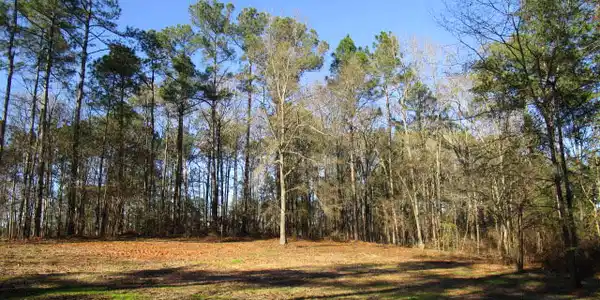 Lot 16 Par Ct