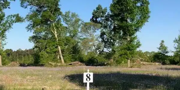 Lot 8 Lemon Avenue