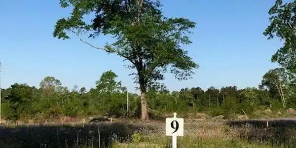 Lot 9 Lemon Avenue