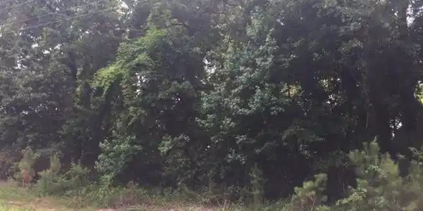 Lot 7C Lakewood