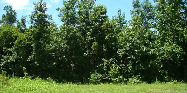 0 Spiers Landing Road