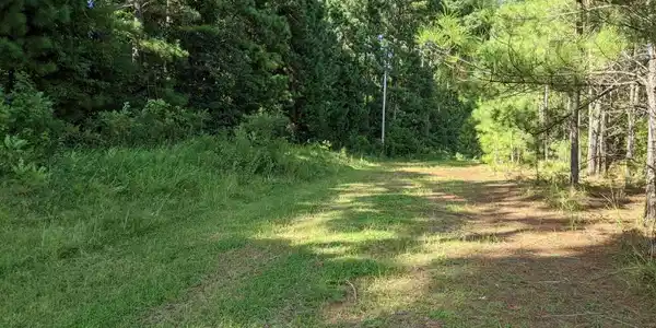 Lot 19 Ned's Cove