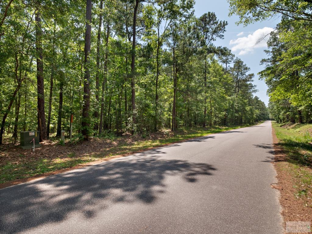 Lot 10 Hickory Landing Ct, Elloree, SC lhrmls01780288