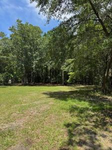 133 Rutledge Drive Drive