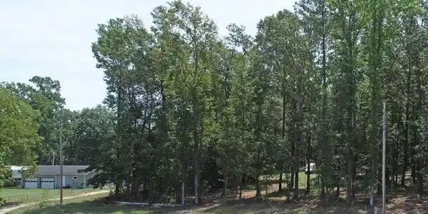 Image 3: 1073 Summerford Lane