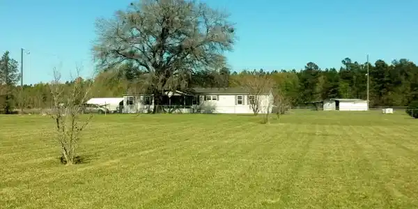 3326 DINGLE POND RD