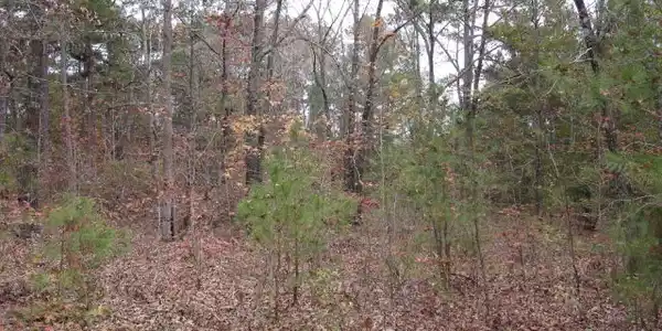 Lot 11 Poplar Creek Drive