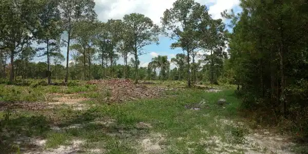 31 ac Old Number Six Hwy