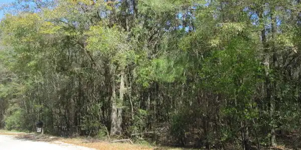 Lot 87 Birch Drive