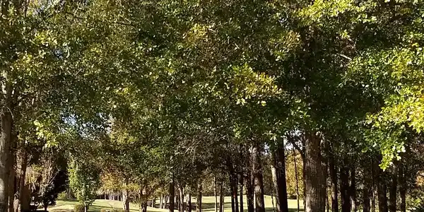 27 Lake Arbu Dr