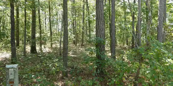 Lot 40 Sorin Circle