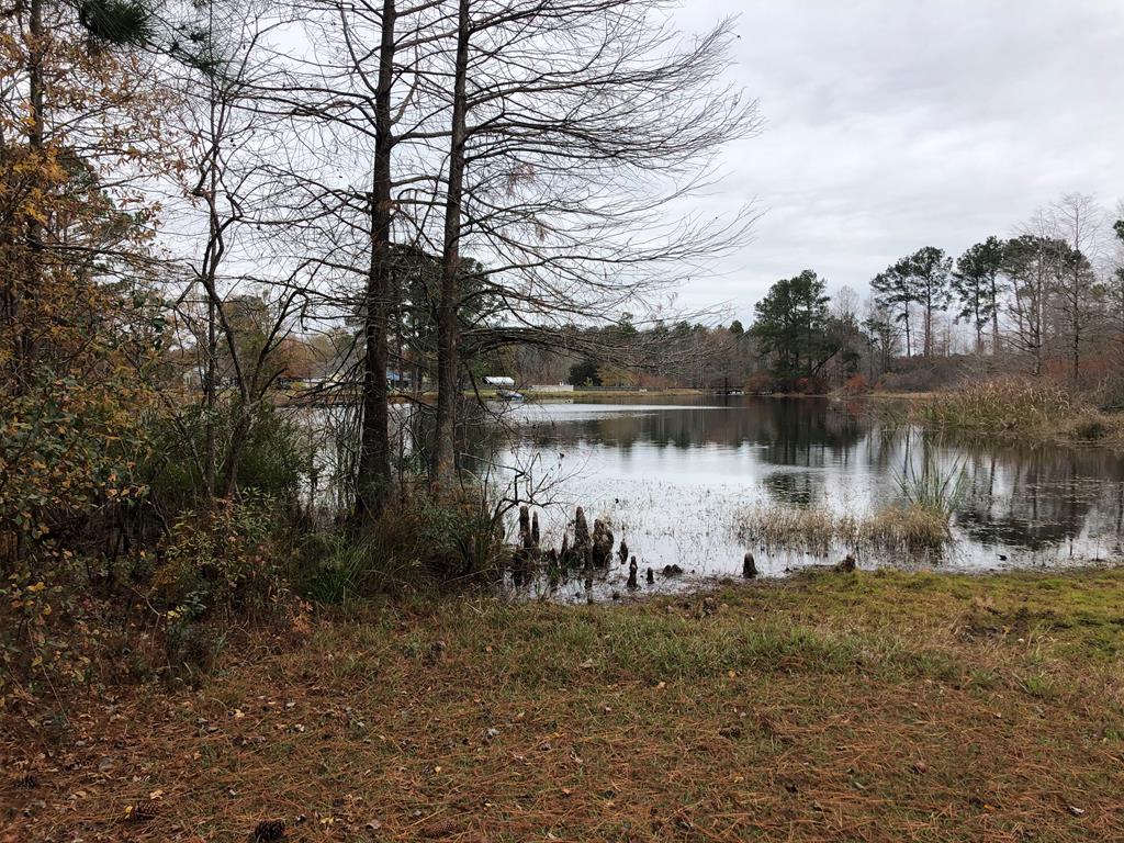 TBD Fountain Lake Drive, Eutawville, SC lhrmls00863470