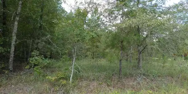Lot 32 Hidden Oak Drive