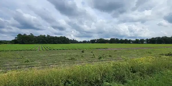 0 Catfish Road