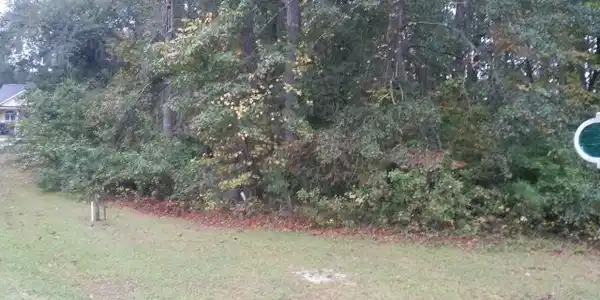 Lot 3-4 GREEN CT