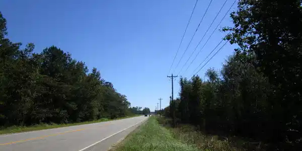 19 Acres Old #6 Hwy