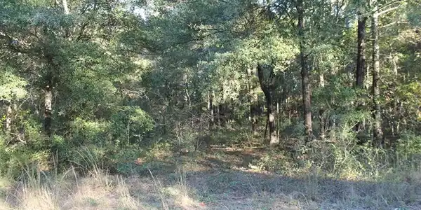 Lot 86 Birch Drive