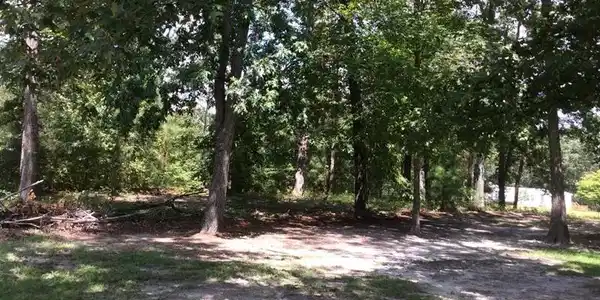 TBD Litzler Drive