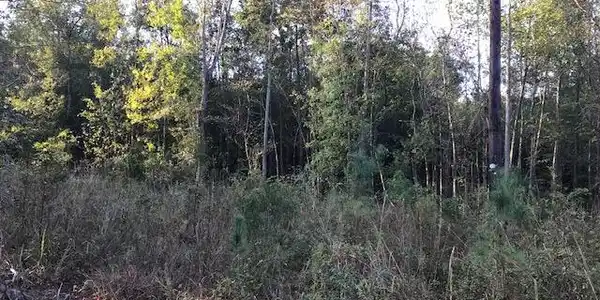 0 Old Highway 6
