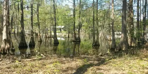 671 STUMPHOLE RD