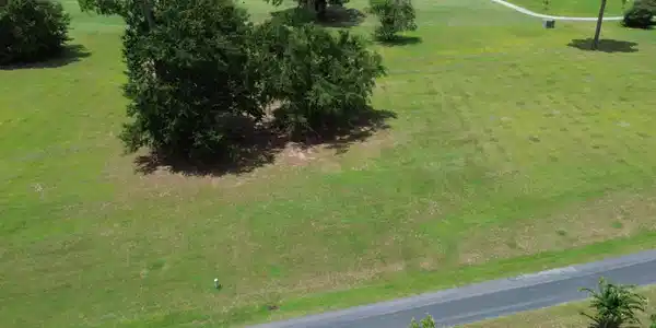 Image 3: DJI_0522