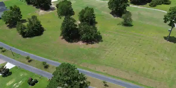 Image 4: DJI_0520